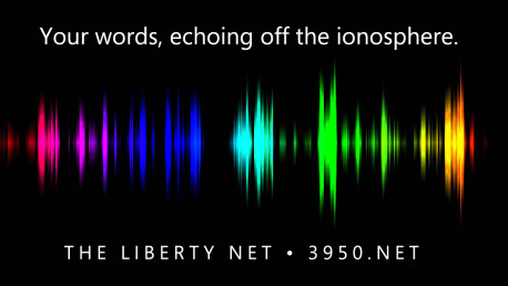 Liberty-Net---waveform